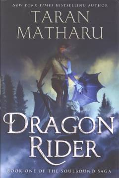 Dragon rider