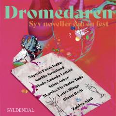Dromedaren : syv noveller om én fest