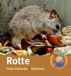Rotte