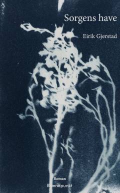 Sorgens have : kortroman