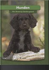 Hunden