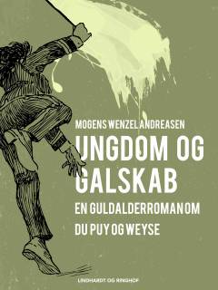 Ungdom og galskab : en guldalderroman om Du Puy og Weyse