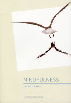 Mindfulness