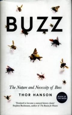 Buzz : the nature and necessity of bees