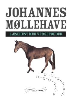 Læsehest med versefødder : fra folkevisen til den folkelige vise