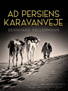 Ad Persiens karavanveje