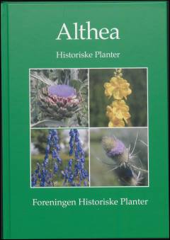 Althea - historiske planter