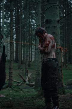 Træer malet i tjære