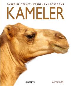 Kameler