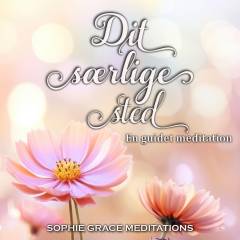 Dit særlige sted : en guidet meditation
