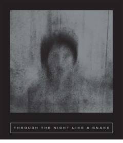 Through the night like a snake : latin american horror stories