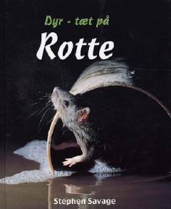 Rotte