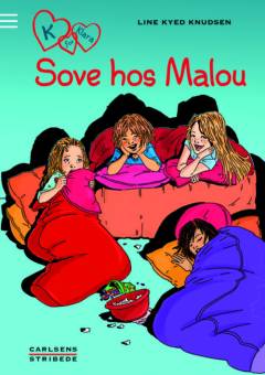 Bog, 1. udgave, 2013