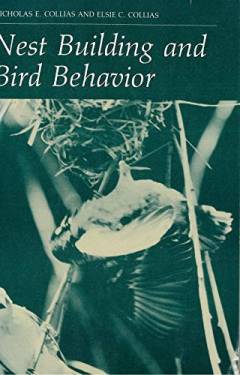 Nest building and bird behaviour