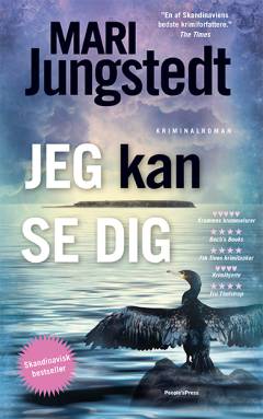 Jeg kan se dig : kriminalroman