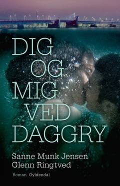 Bog, 1. udgave, 2013