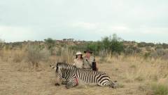 Safari