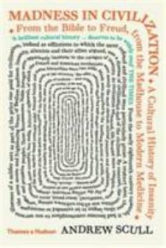 Madness in civilization : a cultural history of insanity, from the bible to Freud, from the madhouse to modern medicine