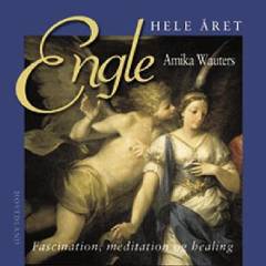 Engle hele året : fascination, meditation & healing