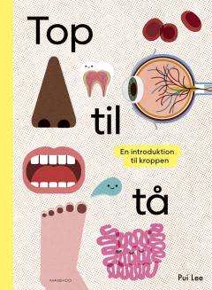 Top til tå : en introduktion til kroppen