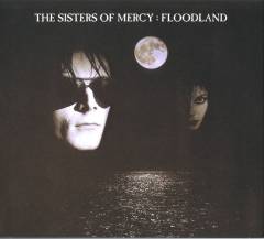Floodland