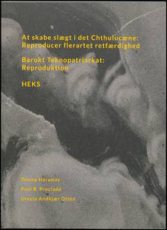 At skabe slægt i det chthulucæne : reproducer flerartet retfærdighed: Barokt teknopatriarkat : reproduktion: Heks