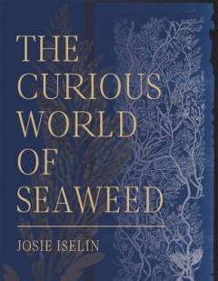 The curious world of seaweed