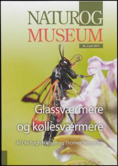 Glassværmere og køllesværmere