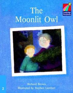 The moonlit owl