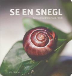 Se en snegl