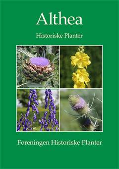 Althea - historiske planter