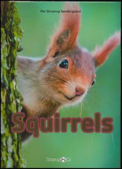 Squirrels