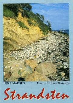 Bog, 3. udgave, 2001