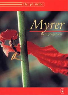 Myrer