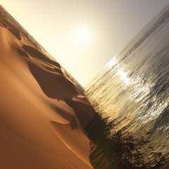 Under the sun
