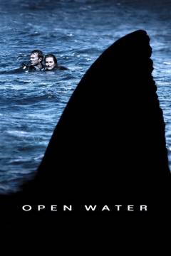 Film (dvd), 2005