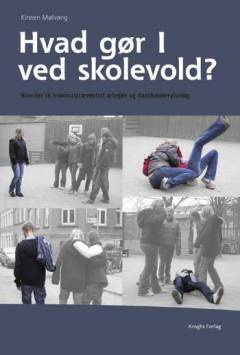 Hvad gør I ved skolevold? : noveller til kriminalpræventivt arbejde og danskundervisning