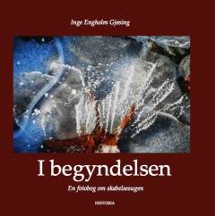 I begyndelsen : en fotobog om skabelsesugen