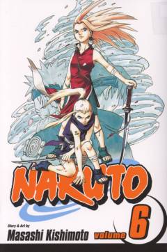 Naruto. Volume 6 : Predator