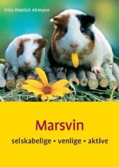 Marsvin : selskabelige, venlige, aktive