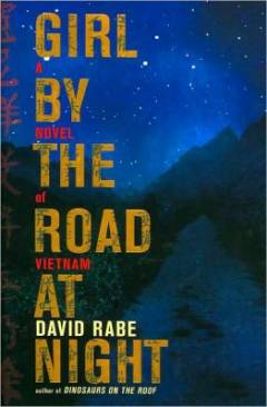 Girl by the road at night : a novel of Vietnam