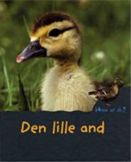 Den lille and