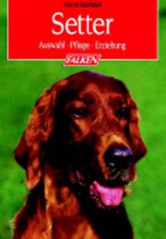 Setter : Auswahl, Pflege, Erziehung