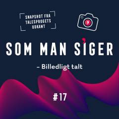 Som man siger. 17 : Billedligt talt