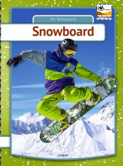 Snowboard