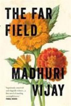 The far field : a novel