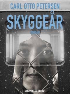 Skyggeår
