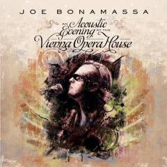 An acoustic evening at the Vienna Opera House