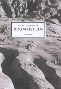 Bog, 1. bogklubudgave, 2003