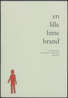 En lille bitte brand : poetry slam-tekster fra Brønderslev forfatterskole årgang 2013